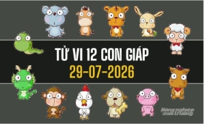 Tử vi 12 con giáp hôm nay 29/7/2026: Tý gặp thử thách, Sửu đón cơ hội