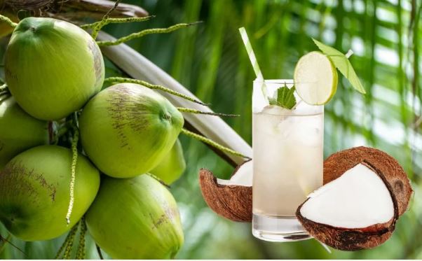 4 loại nước dân dã giúp giải khát trong ngày nóng
