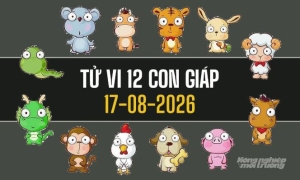 Tử vi 12 con giáp hôm nay 17/8/2026: Tuổi nào đón vận may, tuổi nào cần thận trọng