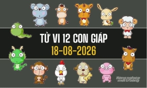 Tử vi 12 con giáp hôm nay 18/8/2026: Mão đón vận may, Ngọ cần thận trọng
