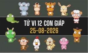 Tử vi 12 con giáp ngày 25/8/2026: Thìn, Mùi, Thân đón vận may tài lộc