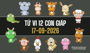 Tử vi hôm nay 17/9/2026 của 12 con giáp: Nhiều cơ hội mới, tài lộc có chuyển biến