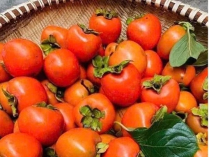 5 tác dụng phụ của quả hồng cần lưu ý khi ăn