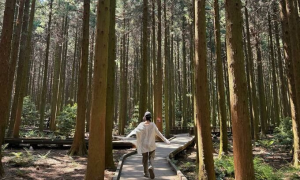 Tử vi cá nhân hàng ngày 12 cung Hoàng Đạo thứ sáu ngày 30/10/2026: Song Ngư nhạy cảm